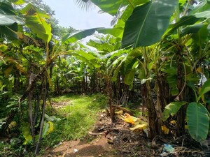  Land – Garden View at Vyttila - for Rent