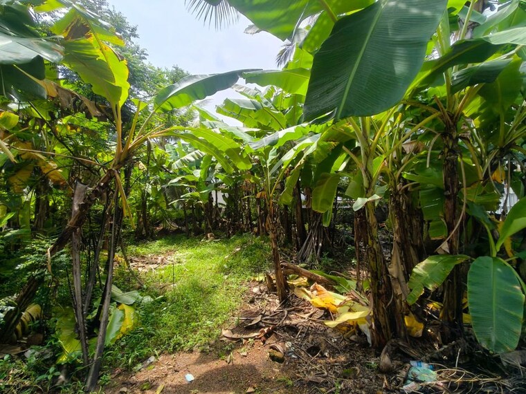 Garden, vyttila Commercial Land 2613 Sq.Ft. In Vyttila Kochi 10534675