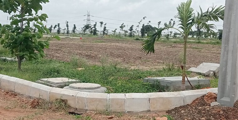 undefined, eeshanya-heights  198 Sq.Yd. Plot In Shadnagar Hyderabad 10518845