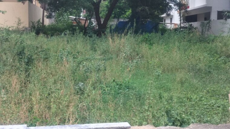 Garden, jubilee hills  400 Sq.Ft. Plot In Jubilee Hills Hyderabad 10534991