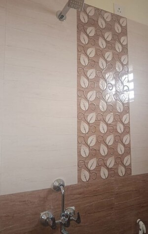 Bathroom in 2 BHK Apartment at Beluvai – for Rent