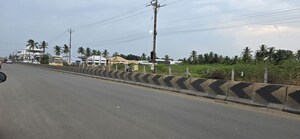  Land For Sale in Pappampatti Pirivu
