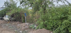 Plot Area in  Land at Pappampatti Pirivu – for Sale