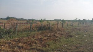 Plot Area in  Land at Coimbatore International Airport – for Sale