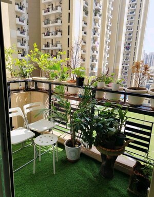 Gym in 2 BHK Apartment at Nimbus Express Park View, Chi V Greater Noida – for Rent