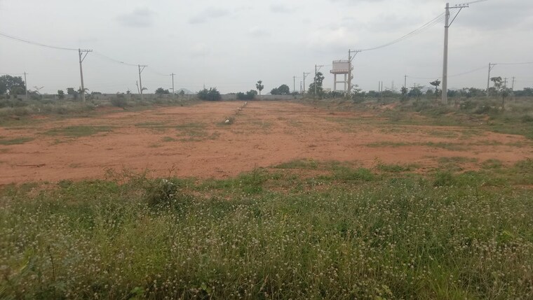 undefined, konda bheemanapally  161 Sq.Yd. Plot In Konda Bheemanapally Devarakonda 10535171