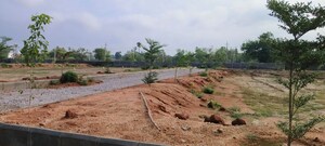 Plot Area in  Land at Shabad – for Sale