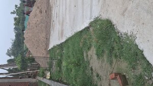 Plot Area in  Plot at Nagram Road – for Sale