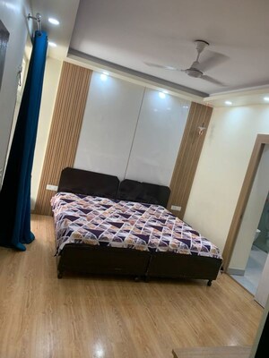 3 BHK Apartment For Rent in Sikka Kimaantra Greens, Sector 79
