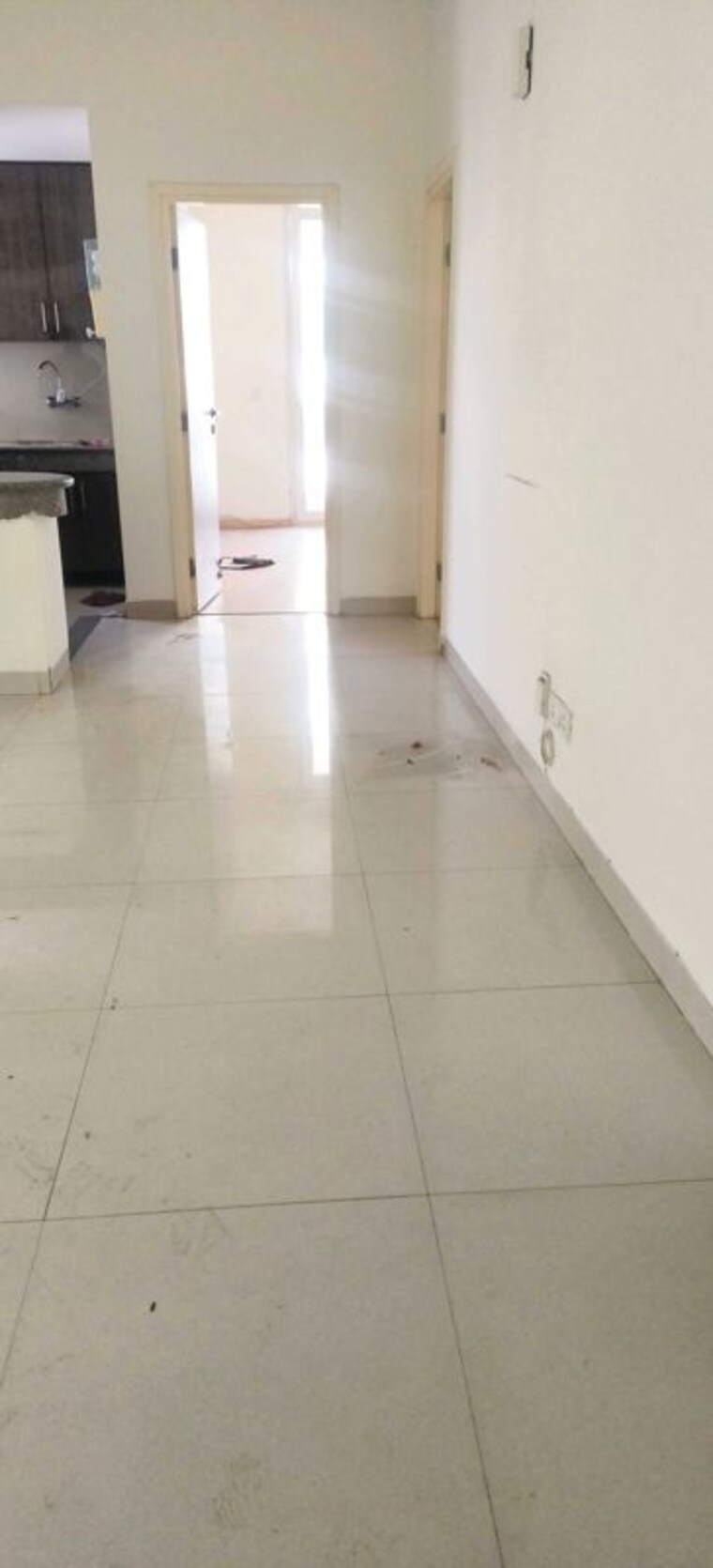 undefined, sector 23 2 Bedroom 2500 Sq.Ft. Builder Floor In Sector 23 Gurgaon 10535726