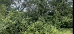  Plot – Garden View at Bagalur - for Sale