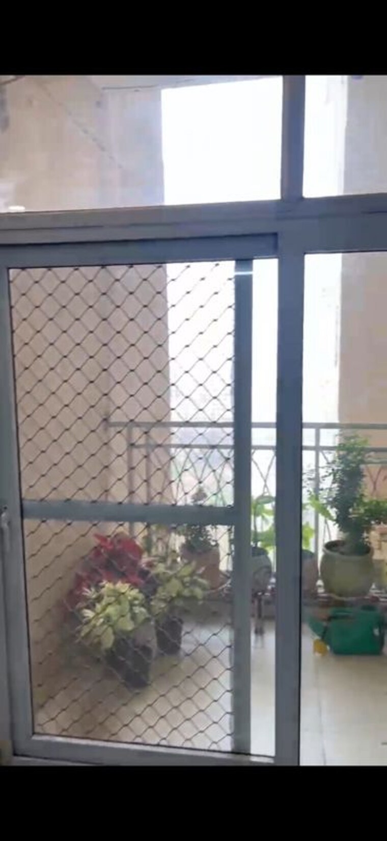 Room, mahagun-my-woods 2.5 Bedroom 1200 Sq.Ft. Apartment In Sector 16c Greater Noida Greater Noida 10521482