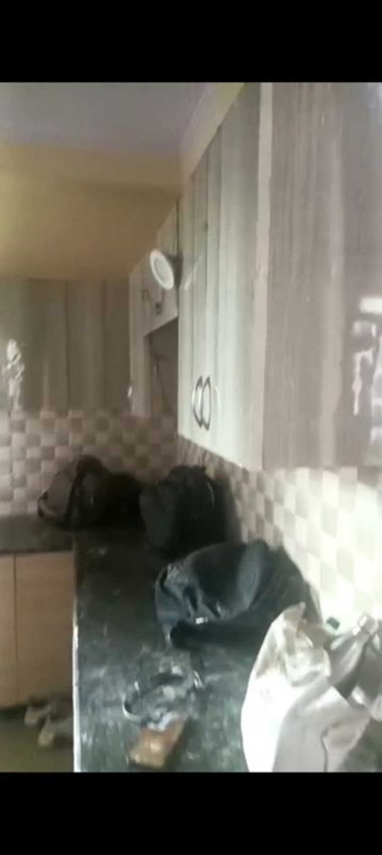 Living Room, mahagun-my-woods  1175 Sq.Ft. Apartment In Sector 16c Greater Noida Greater Noida 10535817