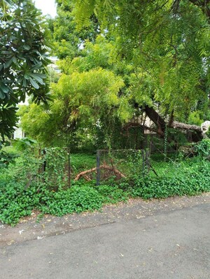  Plot For Sale in Pallod Farms