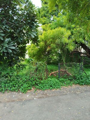 Plot Area in  Plot at Pallod Farms – for Sale