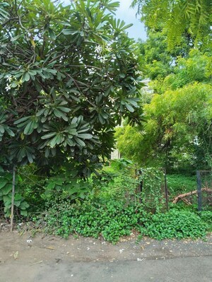  Plot – Garden View at Pallod Farms - for Sale