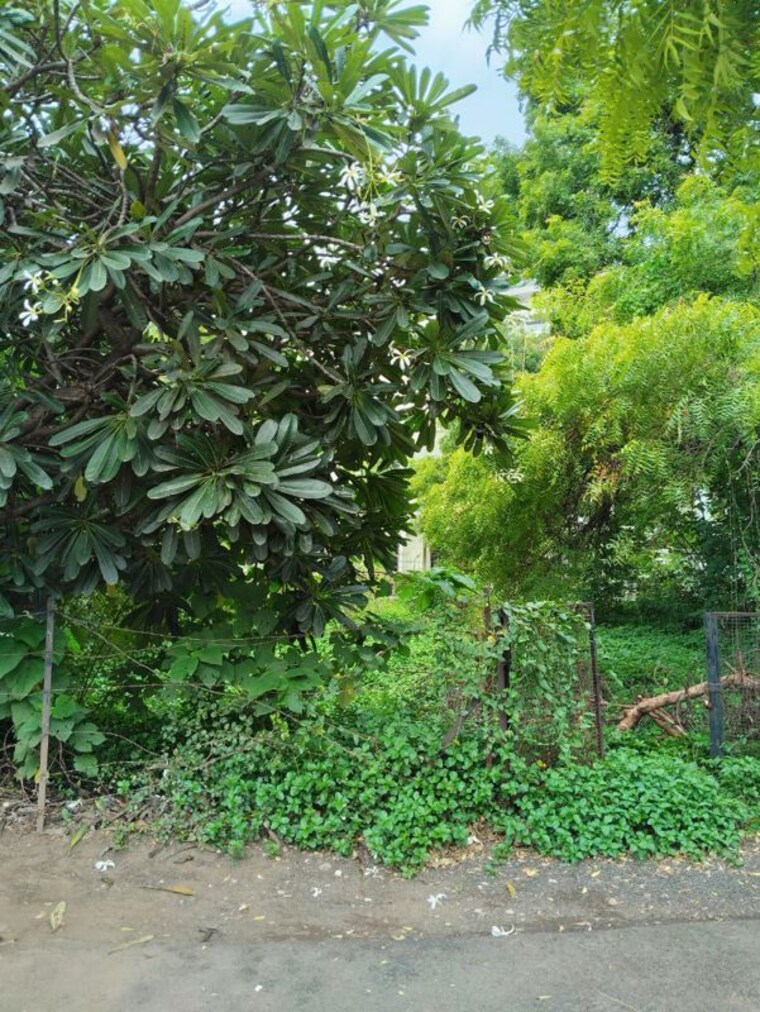 Garden, pallod farms  4800 Sq.Ft. Plot In Pallod Farms Pune 10535956