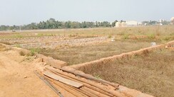 Plot For Sale in Shadnagar