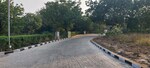 781 Sq.Yd. Plot in Savvy Kensville Golf Living