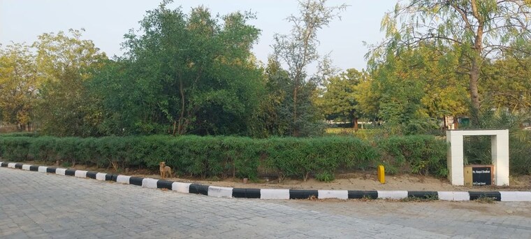 undefined, savvy-kensville-golf-living  781 Sq.Yd. Plot In Bavla Ahmedabad 10536183