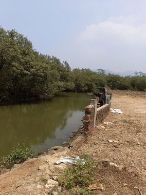 Plot Area in  Plot at Kodibag – for Sale