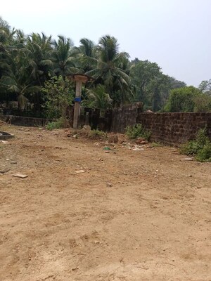 Plot Area in  Plot at Kodibag – for Sale