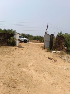  Plot For Sale in Kodibag