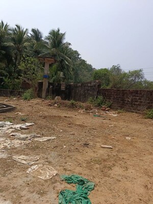 Plot Area in  Plot at Kodibag – for Sale