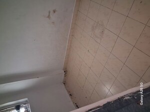 Bathroom in 1 BHK Apartment at Kiran Chandra CHS, Andheri West – for Rent
