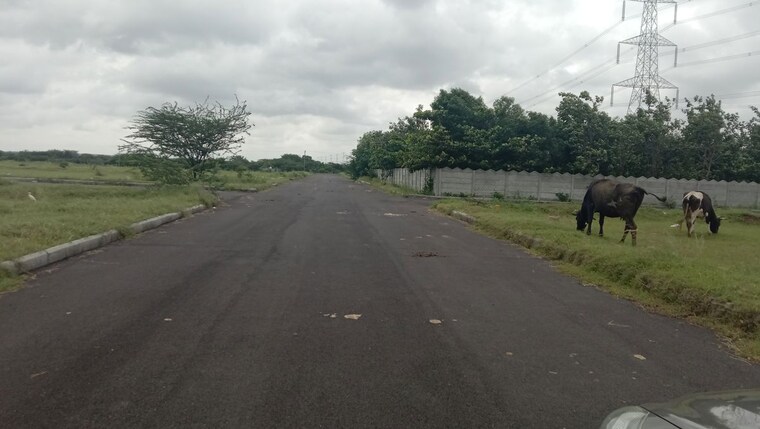 undefined, kothapet  307 Sq.Yd. Plot In Kothapet Hyderabad 10397705
