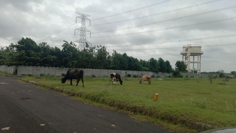 Exterior View, kothapet  307 Sq.Yd. Plot In Kothapet Hyderabad 10397705