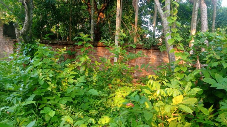 undefined, rajpur sonarpur  36000 Sq.Ft. Plot In Rajpur Sonarpur Kolkata 10536611