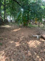 3484 Sq.Ft. Plot in Chembukkav
