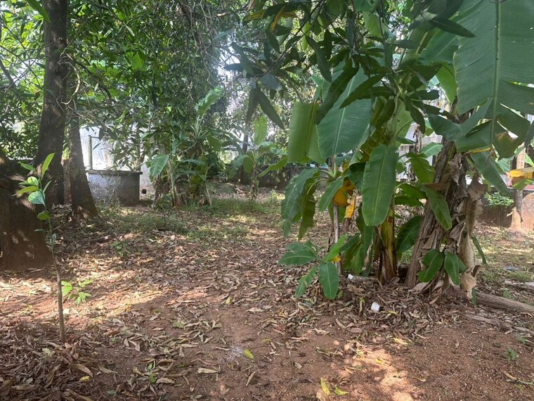 undefined, chembukkav  3484 Sq.Ft. Plot In Chembukkav Thrissur 10536712