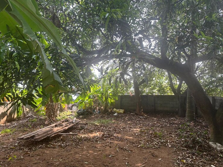 undefined, chembukkav  3484 Sq.Ft. Plot In Chembukkav Thrissur 10536712