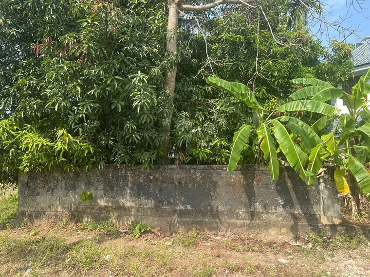 Garden, chembukkav  3484 Sq.Ft. Plot In Chembukkav Thrissur 10536712