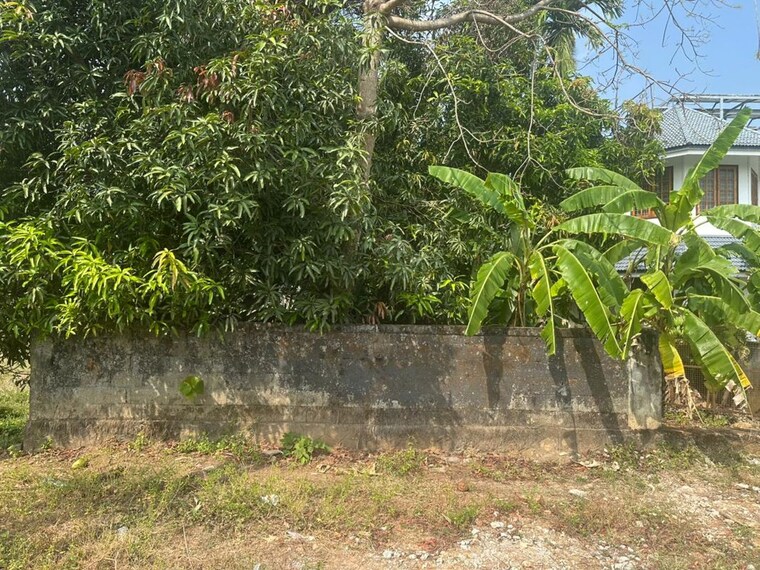 undefined, chembukkav  3484 Sq.Ft. Plot In Chembukkav Thrissur 10536712