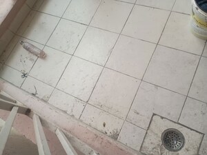 Bathroom in 3 BHK Apartment at Gaur Sportswood, Sector 79 – for Rent