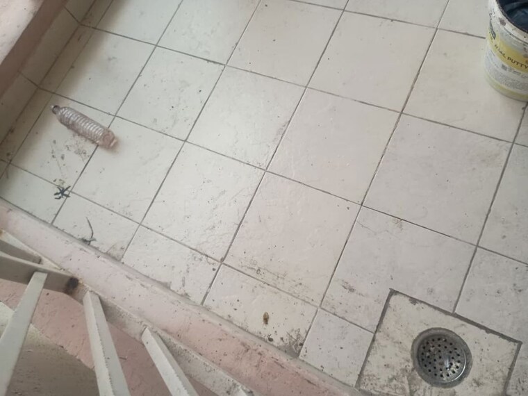 Bathroom, gaur-sportswood 3 Bedroom 1700 Sq.Ft. Apartment In Sector 79 Noida 10536647