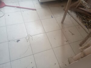 Bathroom in 3 BHK Apartment at Gaur Sportswood, Sector 79 – for Rent