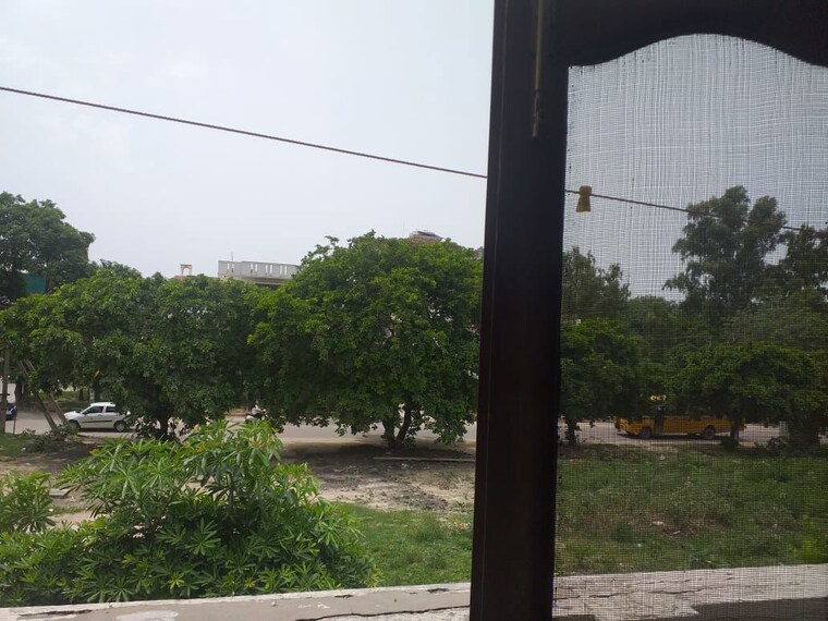 Garden, housing-board-colony-sector-7 2 Bedroom 1152 Sq.Ft. Independent House In Sector 7 Gurgaon 10536807