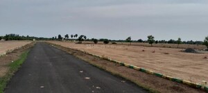 Plot Area in  Plot at Tindivanam – for Sale