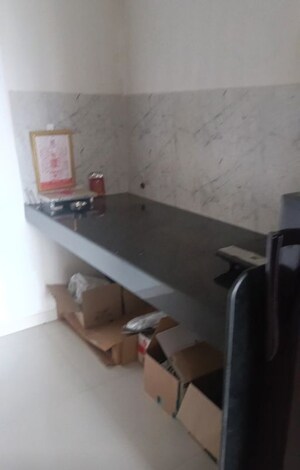 Kitchen in 2 BHK Apartment at Sterling Blooms, Rahatani – for Rent