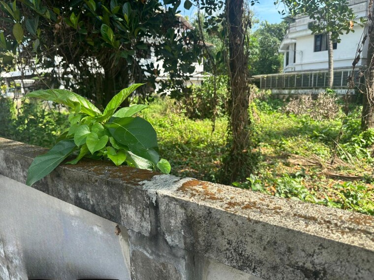 undefined, kalathode  4357 Sq.Ft. Plot In Kalathode Thrissur 10536944