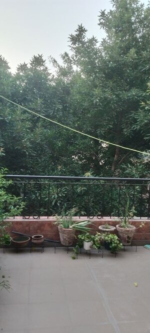 Plot Area in 2 BHK Builder Floor at Sarita Vihar – for Rent