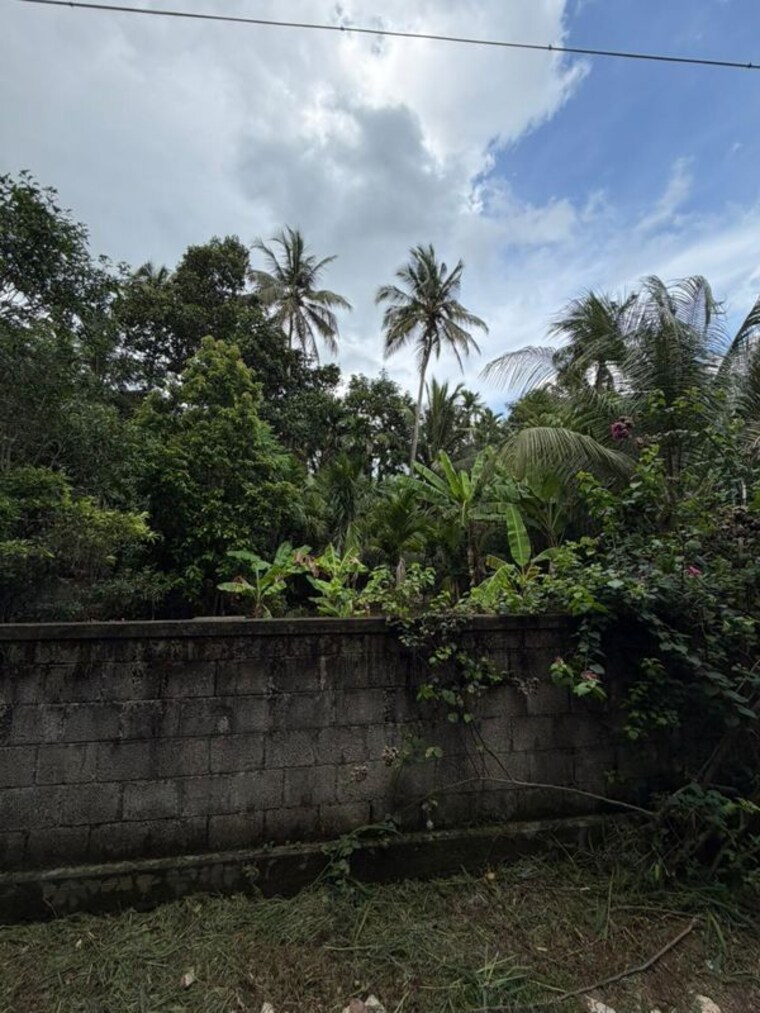 undefined, kuttoor  3268 Sq.Ft. Plot In Kuttoor Thrissur 10536976