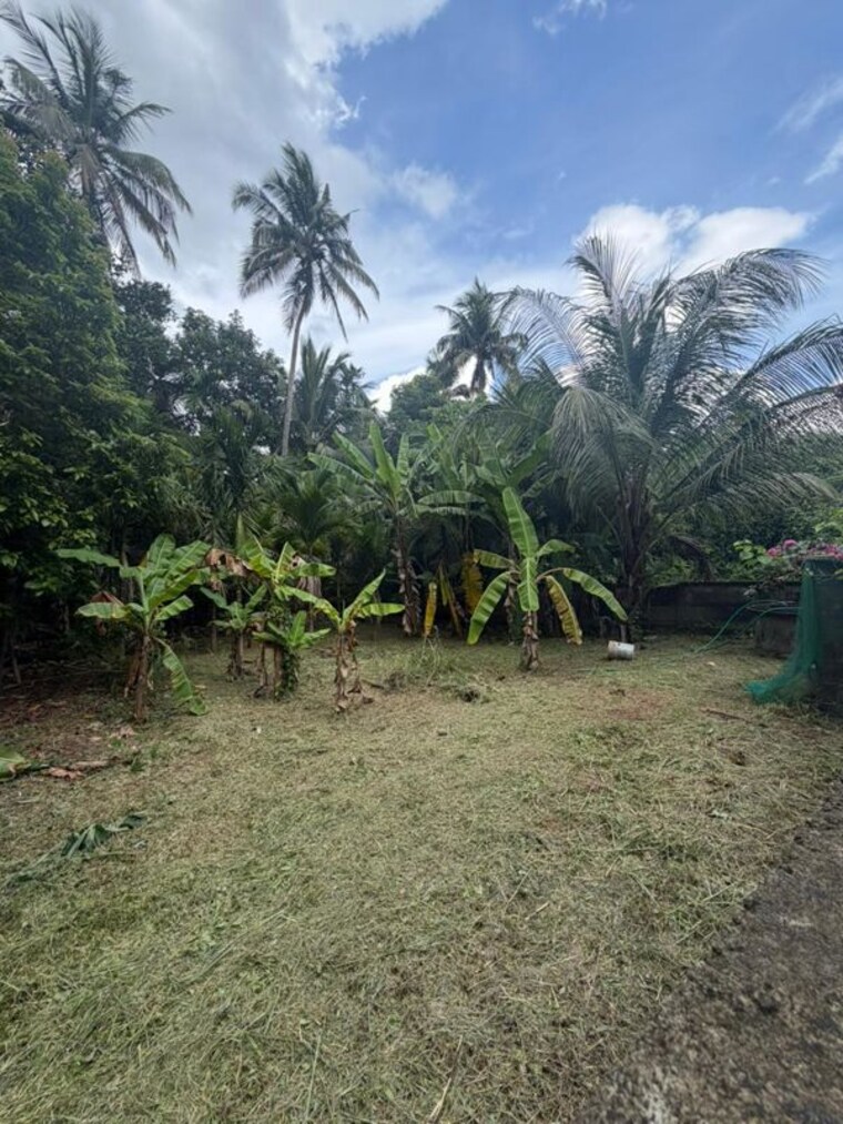 undefined, kuttoor  3268 Sq.Ft. Plot In Kuttoor Thrissur 10536976