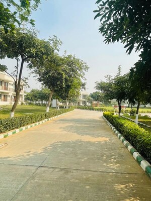 2 BHK Builder Floor – Garden View at Krish Harmony, Alwar Bypass Road - for Sale