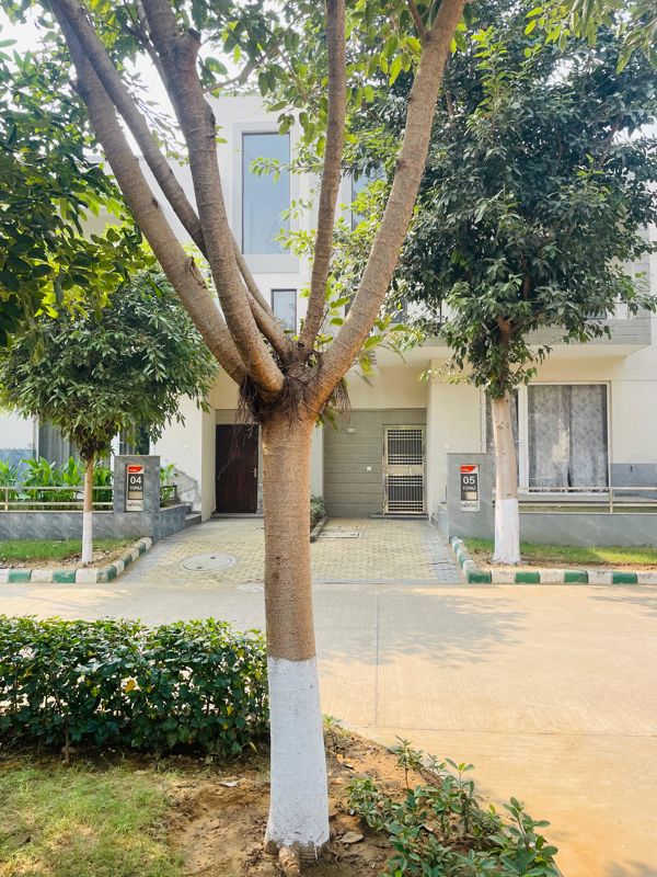 3 BHK + Prayer Room 120 Sq.Yd. Villa in Krish Harmony