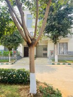 3 BHK + Prayer Room 120 Sq.Yd. Villa in Krish Harmony